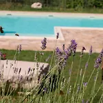 Lacelletta *